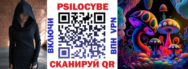 сколько стоит  Биробиджан  Галлюциногенные грибы Psilocybine cubensis 